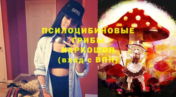 таблы Зуевка