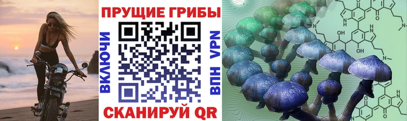 Купить  Ладушкин  Псилоцибиновые грибы MAGIC MUSHROOMS 