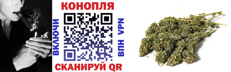 Купить где  Ладушкин  МАРИХУАНА гибрид 